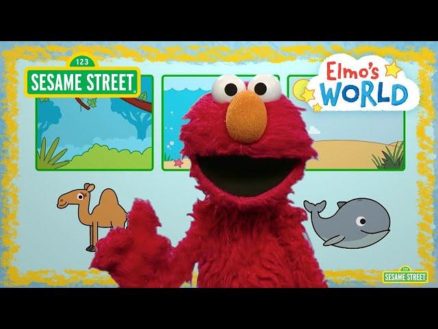 Sesame Street: Elmo Explores Animal Habitats! | Elmo’s World