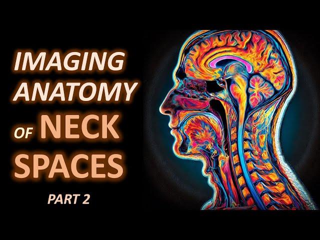 Imaging Anatomy of Neck Spaces (part 2)