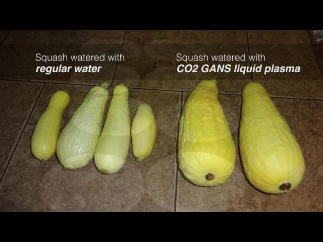 KF SSI Education - Private Weekly Agriculture Teaching Workshops