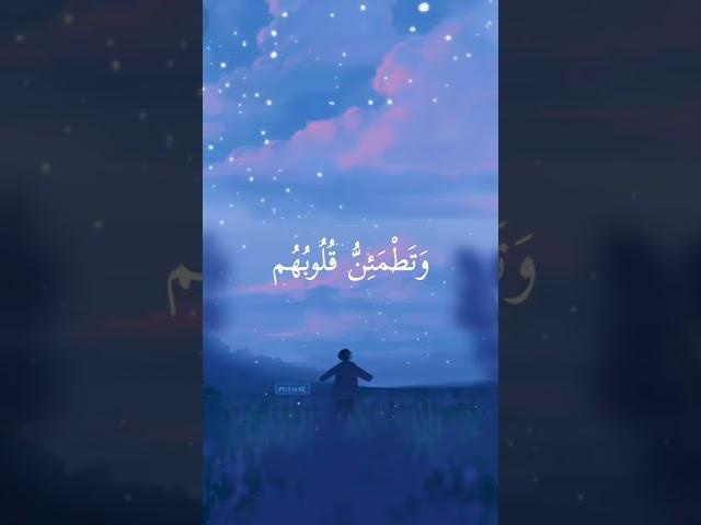 الذين آمنوا وتطمئن قلوبهم بذكر الله ألا بذكر الله تطمئن القلوب - سورة الرعد