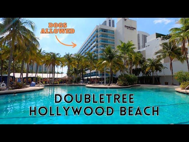 Budget Hotel with Dogs Near the Beach [Full Tour] | DoubleTree Hollywood Beach