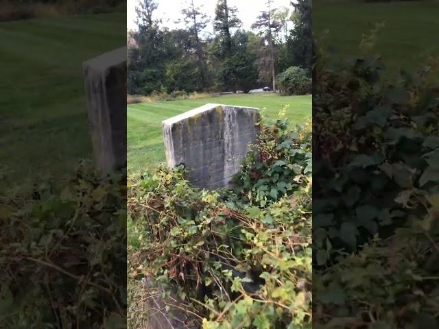 The Forgotten Grave of Lloyd Rogers from the 1800’s #cemetery #forgotten #shorts