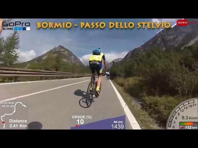 GoPro. Passo dello Stelvio da Bormio in bici da corsa con telemetria