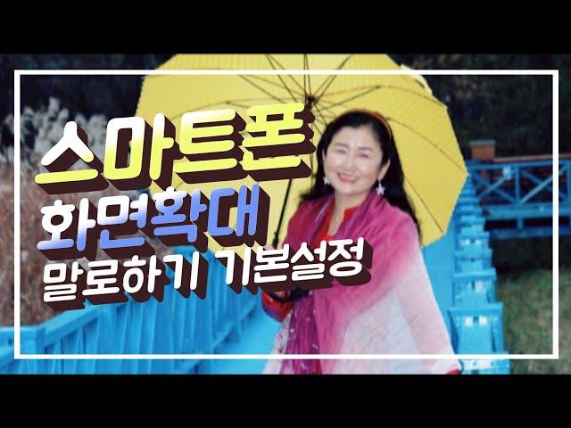 스마트폰 기본설정 꿀팁 - 음성기능, 디바이스관리, 화면확대기능