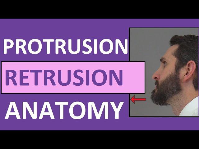 Protrusion, Retrusion, and Excursion Anatomy Body Movement Terms