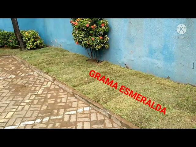 grama esmeralda