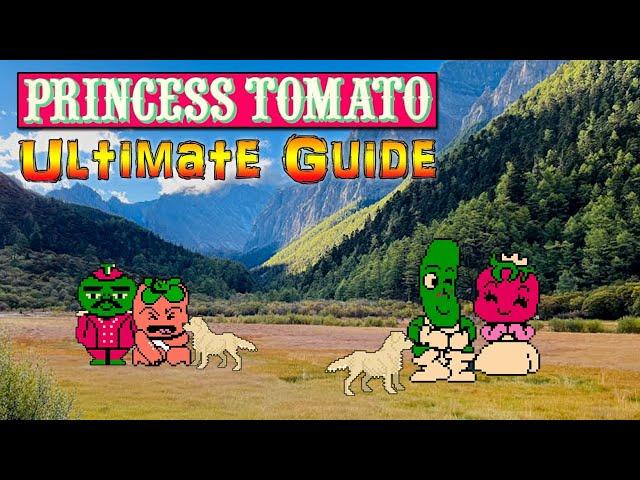 Princess Tomato in the Salad Kingdom - NES - ULTIMATE GUIDE - ALL Chapters, ALL Secrets, 100%