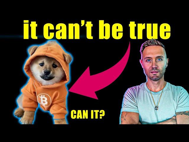 the altcoin that will 100x (dog on bitcoin)