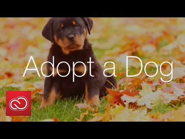 Adobe Voice Comes to iPhone | Adobe Creative Cloud