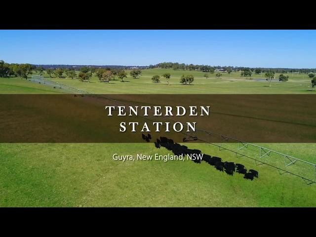 'Tenterden Station', Guyra, New England, NSW