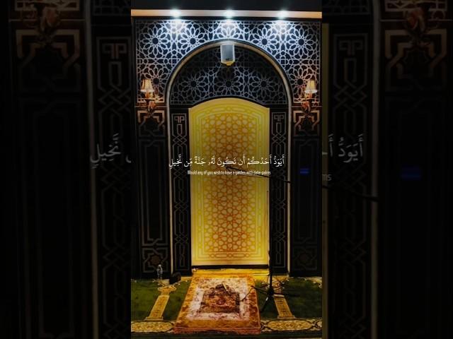 القرآن نور القلوب