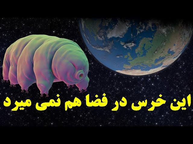 تنها حیوانی که در فضا زنده می ماند، به سفر بین ستاره ای می رود