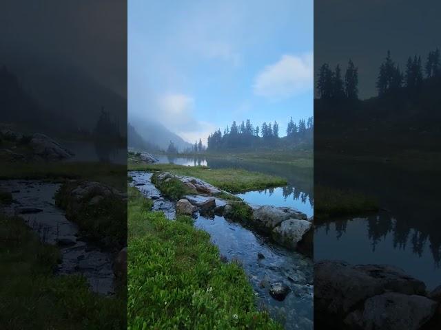 Stream flowing into an alpine lake. #nature #mountains