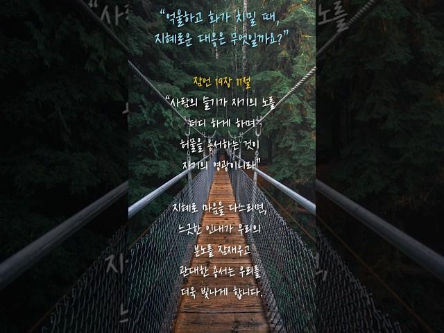 잠언 19장 11절 - “억울하고 화가 치밀 때, 지혜로운 대응은 무엇일까요?”  #경건의시간 #명언 #묵상할때 #dailybibleverse #좋은글  #지혜 #인생조언