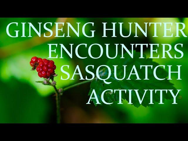 OUTDOORSMAN EXPERIENCES SASQUATCH ACTIVITY WHILE HUNTING! (WHAT DID I ENCOUNTER?)