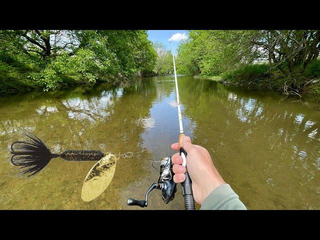 TROUT Fishing with Rooster Tail Spinners (creek fishing)