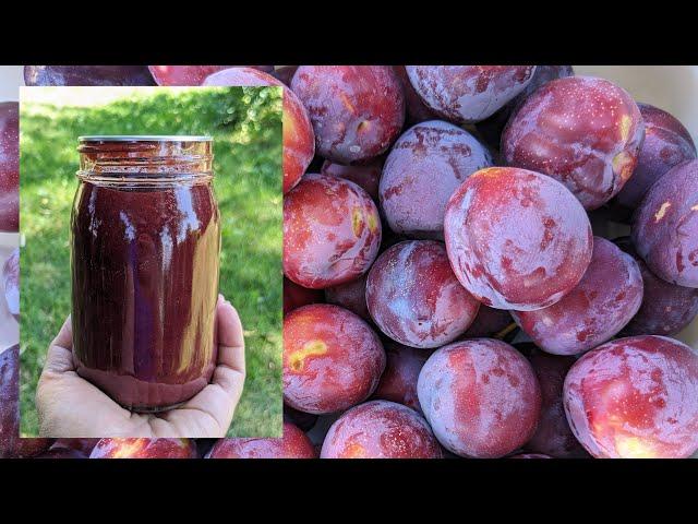 How to Process Cling Seed Plums (and a recipe for plum sauce/syrup)