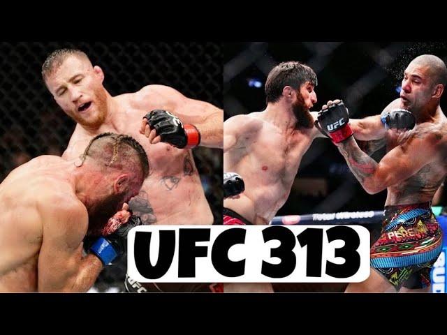 Анализируем и разбираем главные бои UFC313: Перейра - Анкалаев / Гэтжи - Физиев