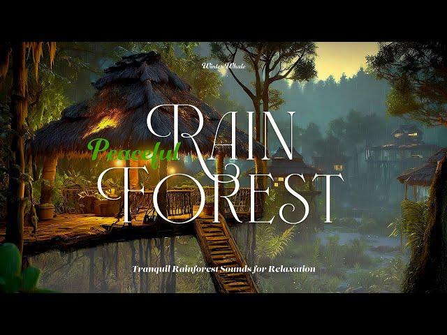 Tranquil Rainforest Sounds for Relaxation | Forest Rain Sounds at Night for Sleeping, Relaxing