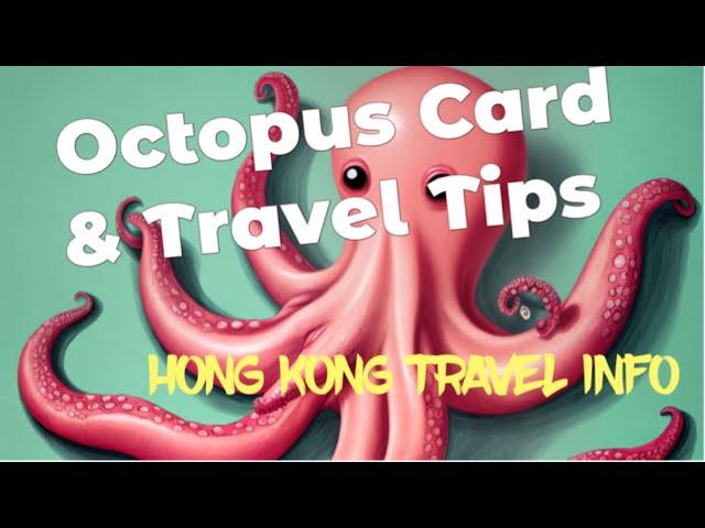 How to travel in Hong Kong and Octopus Card information. Bus, Ferries & Subway! #hongkongtravel