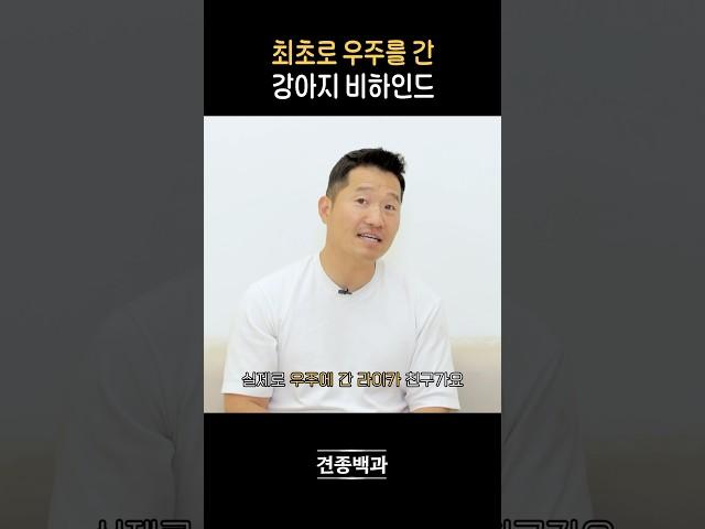 떠돌이 개에서 최초로 우주로 간 개로