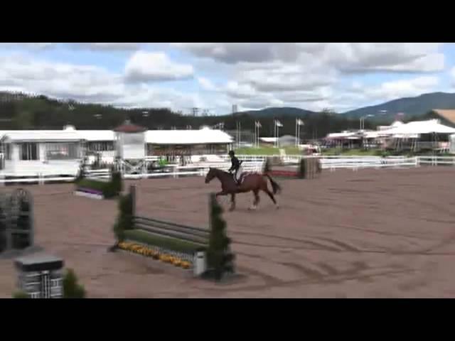 Video of MAITRE D' ridden by AMANDA STEEGE from ShowNet!