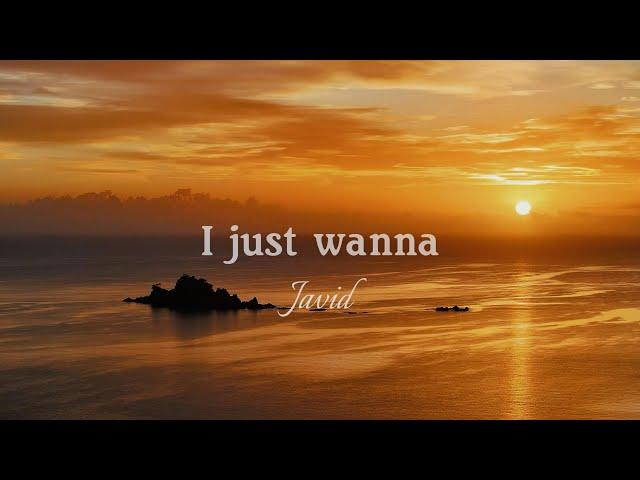 Javid - I just wanna