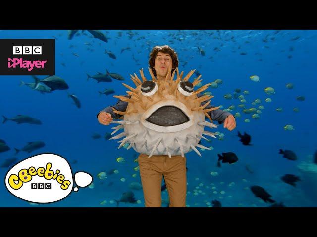 Andy's Aquatic Raps | Fish Fiesta | CBeebies