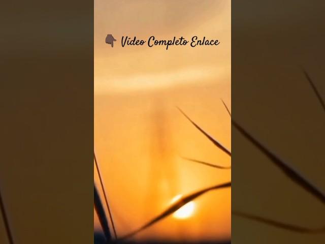 Sonido del VIENTO al ATARDEDER🪔Relajantes Sonidos NATURALES para CONCENTRARSE y ESTUDIAR #sunset