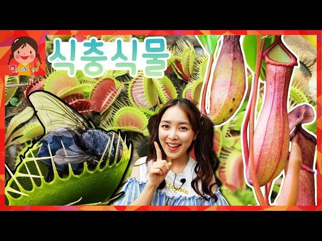 Insect plants Seoul National University Park Flytrap Nepenthes Nature experience