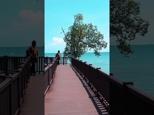 ️ Serene Beach Retreat with a Charming Bridge 