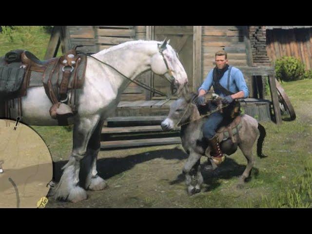 RDR2- All Horse Breeds Size Comparison - Biggest to Smallest Ranking