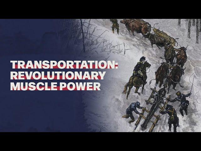 Transportation: Revolutionary Muscle Power