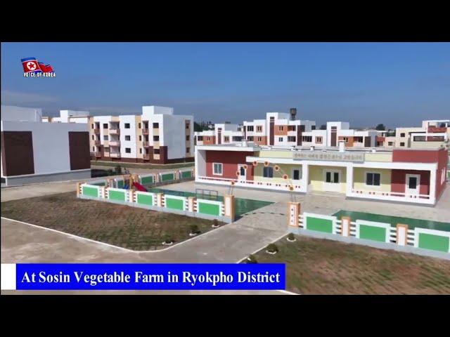 New Free Houses at Sosin Vegetable Farm [English]