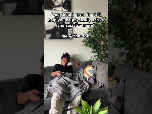 turns out my dogs an introvert too! #dog #comedy #shiba #funny
