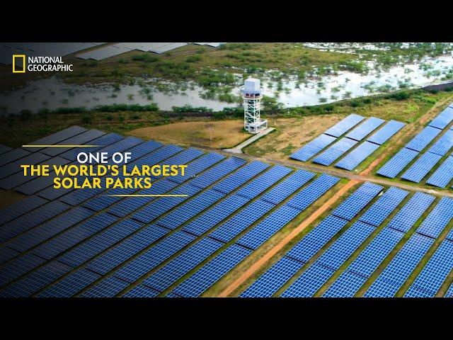 One of The World's Largest Solar Parks | It Happens Only in India | National Geographic