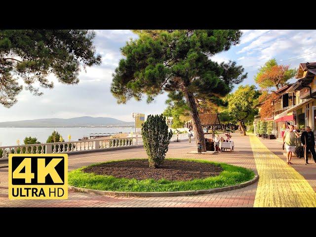 4K Cycling along the Gelendzhik embankment