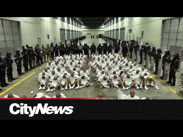 U.S. deportees sent to El Salvador prison; temporary status revoked for over 500,000 people