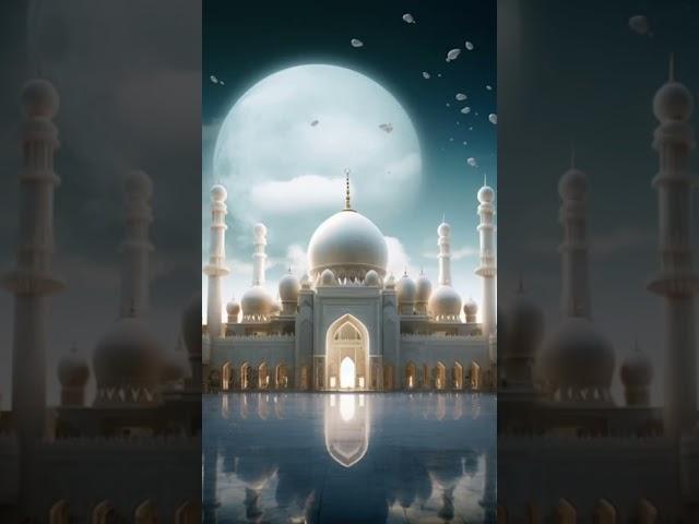 Bokhari Sunni network @