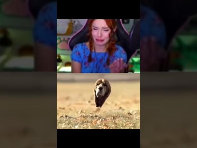 ставьте лайк,если тоже пустили слезу #yumiliya #юмилия https://www.twitch.tv/yumiliya_nya