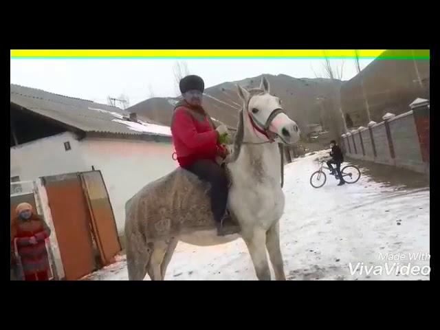 #Жайлоодо.Жыргалбек Жангозуев