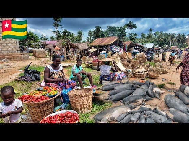 Largest Rural village market day in Aklakou Togo west Africa 