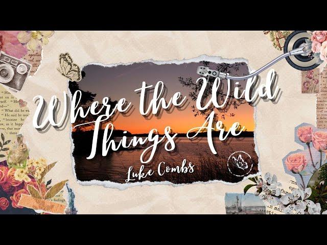 Luke Combs - Where the Wild Things Are (Lyrics)