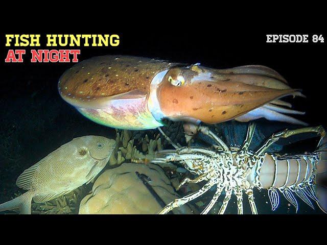 NIGHT SPEARFISHING EPISODE 84 | FISH HUNTING AT NIGHT