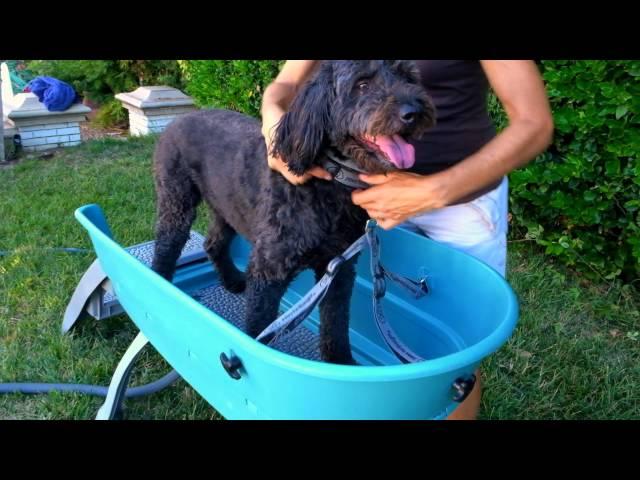 Booster Bath Dog Grooming Bathtub