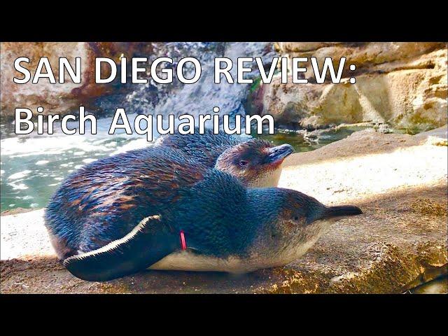 Birch Aquarium | San Diego Review