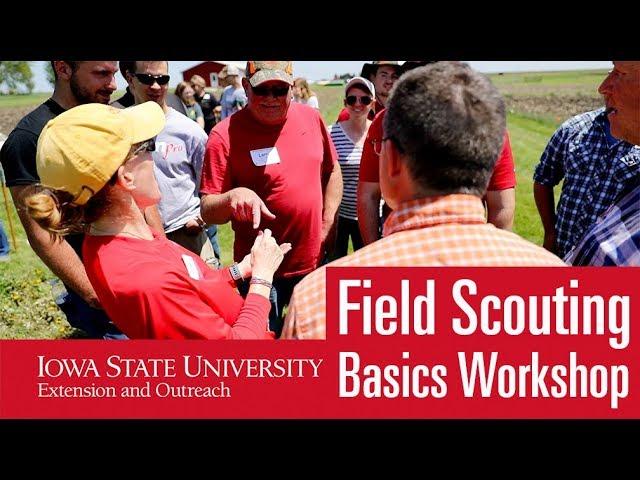 Field Scouting Basics Workshop