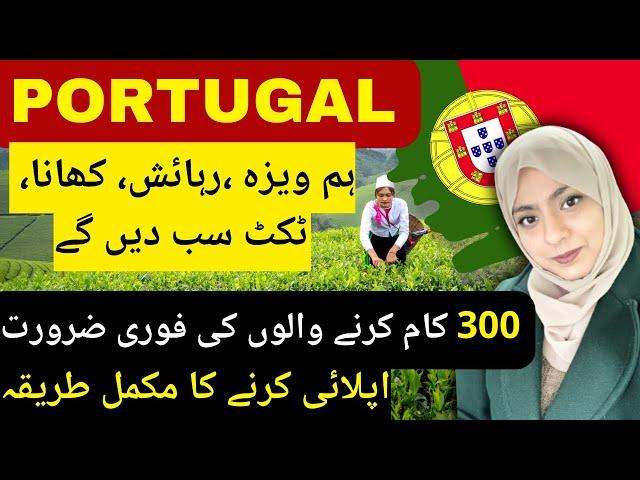 Portugal jobs & visa 2024 - 2025- Portugal kaise ja sakte hain- Europe kaise ja sakte hain