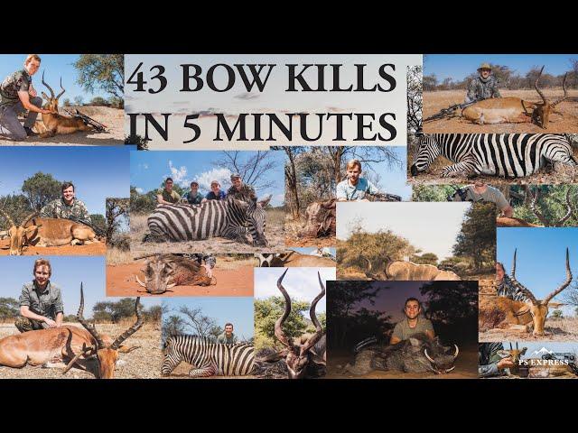 BOWHUNTING AFRICA - 43 BOWKILLS IN 5 MINUTES!!!