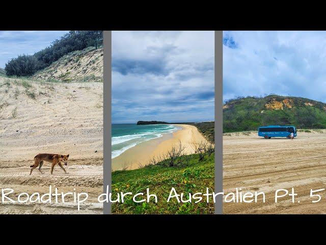 Vlog 34 - Australiens Ostküste - Ein Roadtrip nach Sydney // FRASER ISLAND